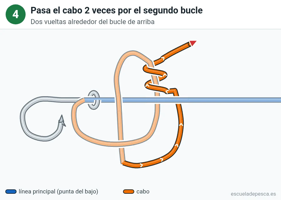 Nudo Nudo Orvis, paso 4 de 5: Pasa el cabo 2 veces por el segundo bucle. Dos vueltas alrededor del bucle de arriba.