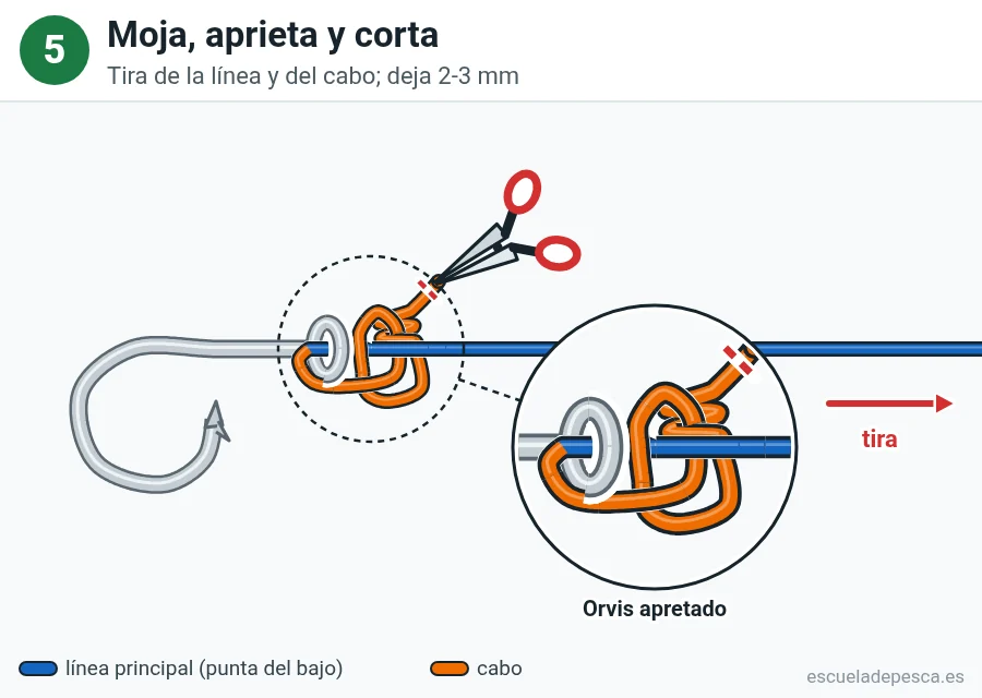 Nudo Nudo Orvis, paso 5 de 5: Moja, aprieta y corta. Tira de la línea y del cabo; deja 2-3 mm.