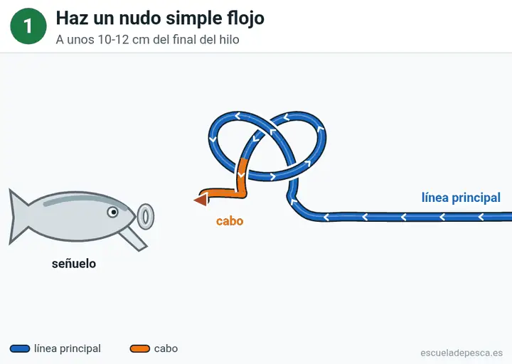 Animación del nudo Rapala: los 6 pasos seguidos, con la línea principal y el cabo en colores distintos.