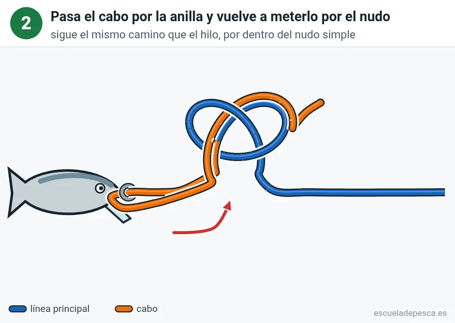 Nudo Rapala, paso 2 de 6: Pasa el cabo por la anilla y vuelve al nudo. Entra en el nudo simple por el mismo sitio por donde salió.