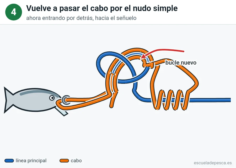 Nudo Rapala, paso 4 de 6: Vuelve a meter el cabo en el nudo simple. Ahora por detrás, hacia el señuelo.