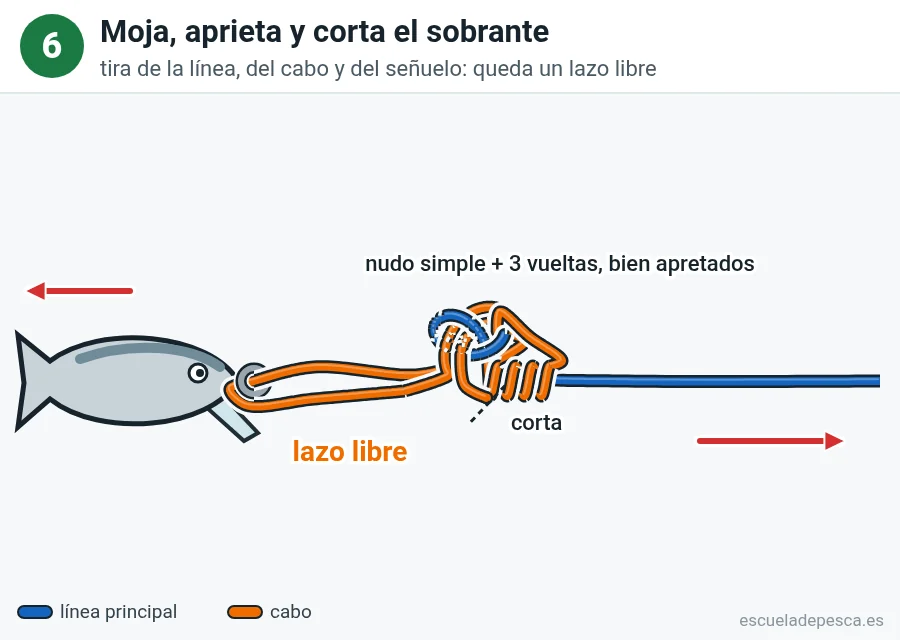 Nudo Rapala, paso 6 de 6: Moja, aprieta y corta el sobrante. Queda un lazo libre: el señuelo se mueve suelto.