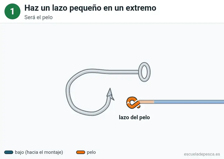 Animación del nudo Nudo sin nudo (knotless): los 5 pasos seguidos, con la línea principal y el cabo en colores distintos.