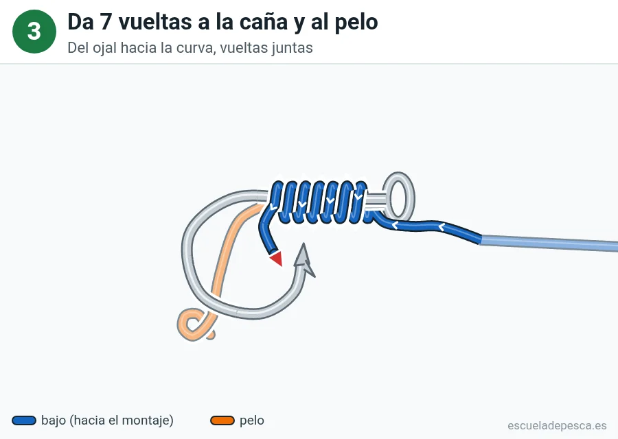 Nudo Nudo sin nudo (knotless), paso 3 de 5: Da 7 vueltas a la caña y al pelo. Del ojal hacia la curva, vueltas juntas.