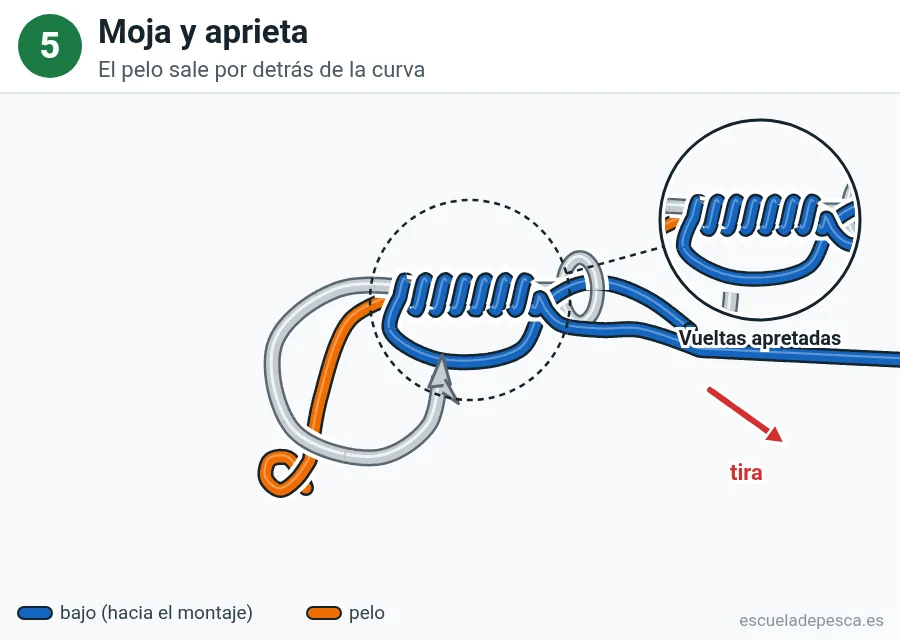 Nudo Nudo sin nudo (knotless), paso 5 de 5: Moja y aprieta. El pelo sale por detrás de la curva.