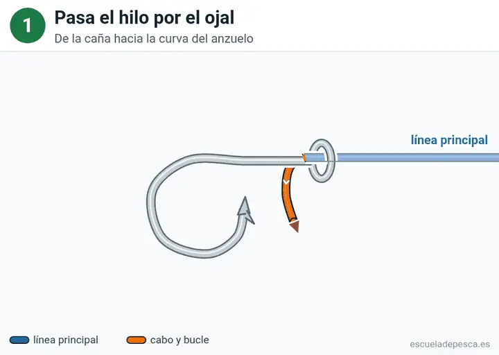 Animación del nudo Snell (empatillado): los 5 pasos seguidos, con la línea principal y el cabo en colores distintos.