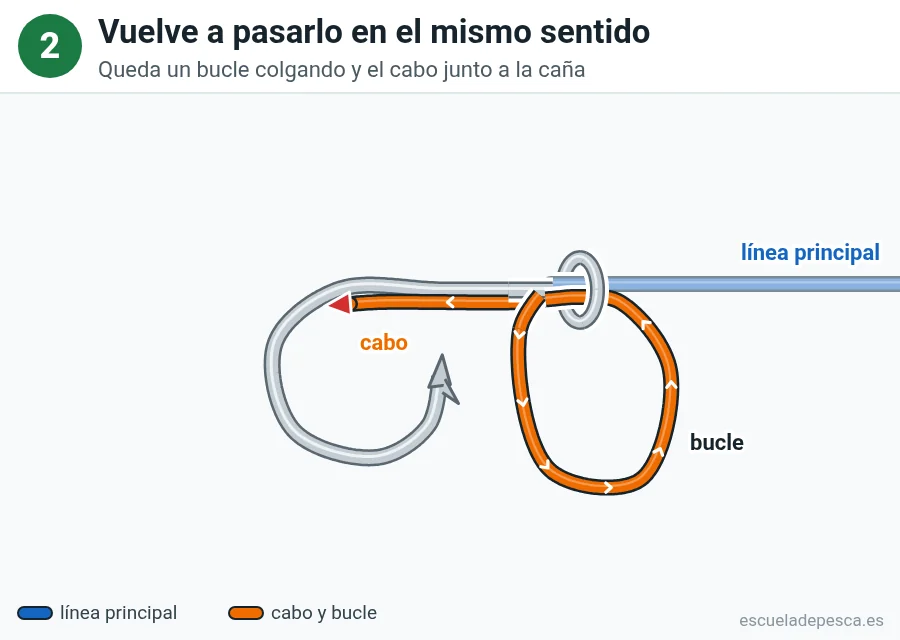 Nudo Snell (empatillado), paso 2 de 5: Vuelve a pasarlo en el mismo sentido. Queda un bucle colgando y el cabo junto a la caña.