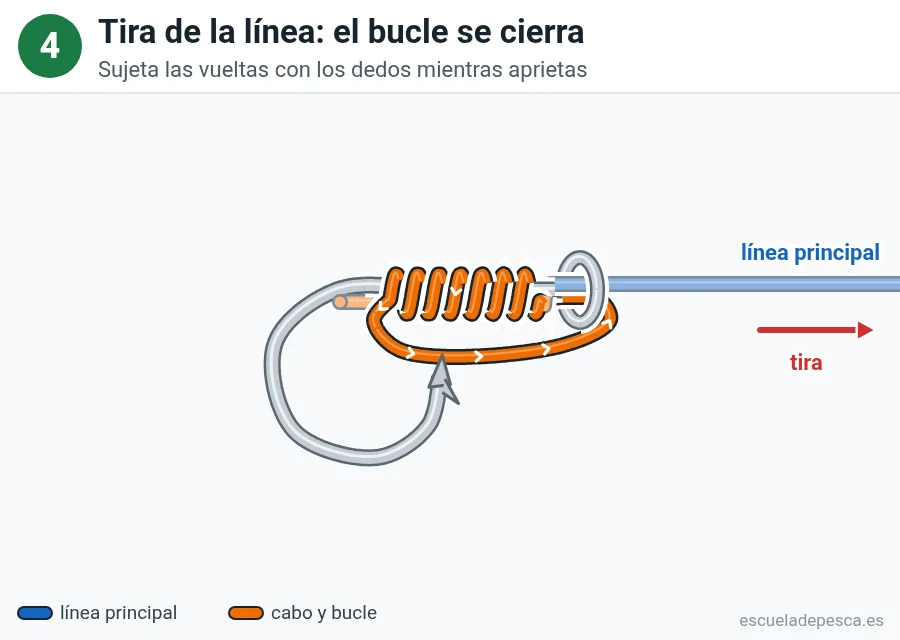 Nudo Snell (empatillado), paso 4 de 5: Tira de la línea: el bucle se cierra. Sujeta las vueltas con los dedos mientras aprietas.