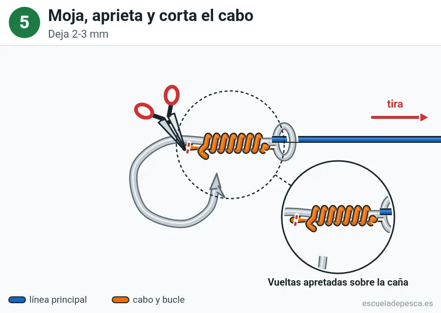 Nudo Snell (empatillado), paso 5 de 5: Moja, aprieta y corta el cabo. Deja 2-3 mm.