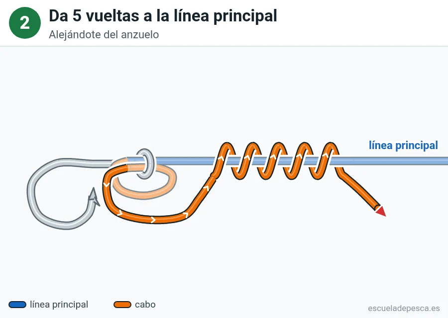 Nudo Trilene, paso 2 de 4: Da 5 vueltas a la línea principal. Alejándote del anzuelo.