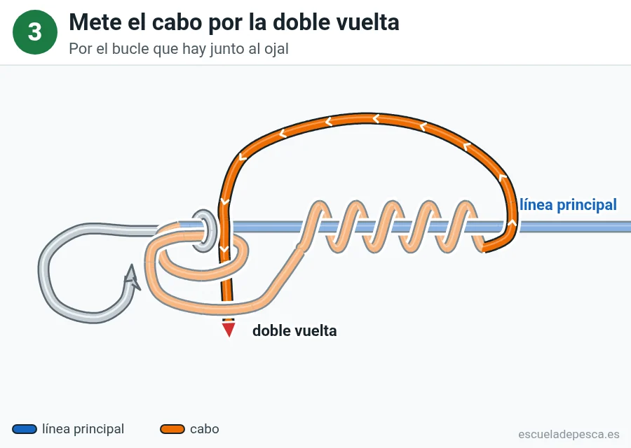Nudo Trilene, paso 3 de 4: Mete el cabo por la doble vuelta. Por el bucle que hay junto al ojal.