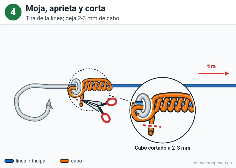 Nudo Trilene, paso 4 de 4: Moja, aprieta y corta. Tira de la línea; deja 2-3 mm de cabo.