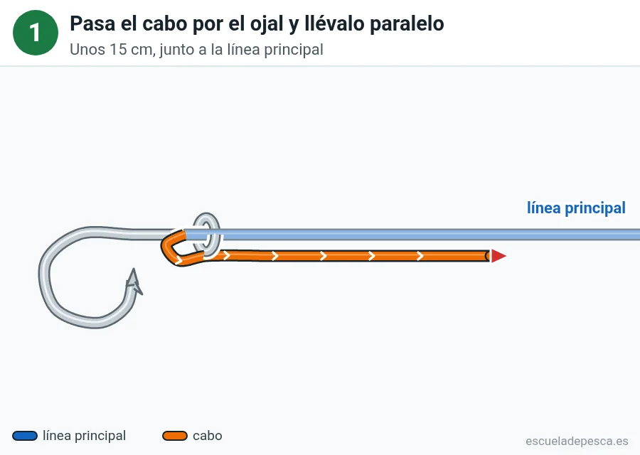 Nudo Uni (grinner), paso 1 de 5: Pasa el cabo por el ojal y llévalo paralelo. Unos 15 cm, junto a la línea principal.