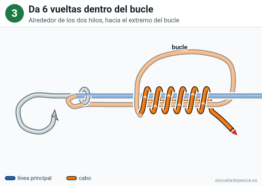 Nudo Uni (grinner), paso 3 de 5: Da 6 vueltas dentro del bucle. Alrededor de los dos hilos, hacia el extremo del bucle.