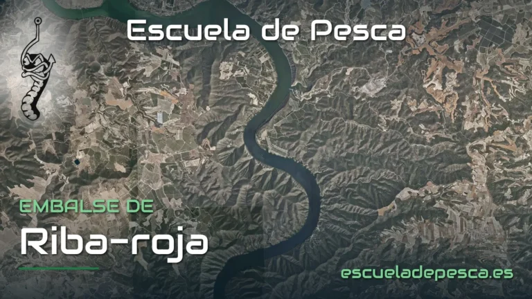 Vista aérea del embalse de Riba-roja