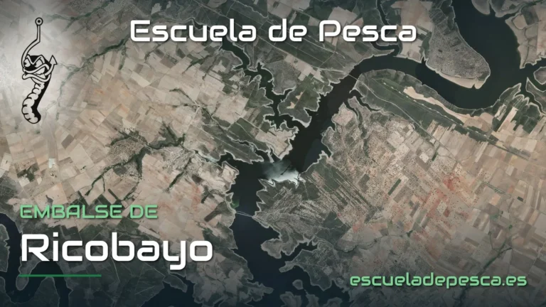 Vista aérea del embalse de Ricobayo