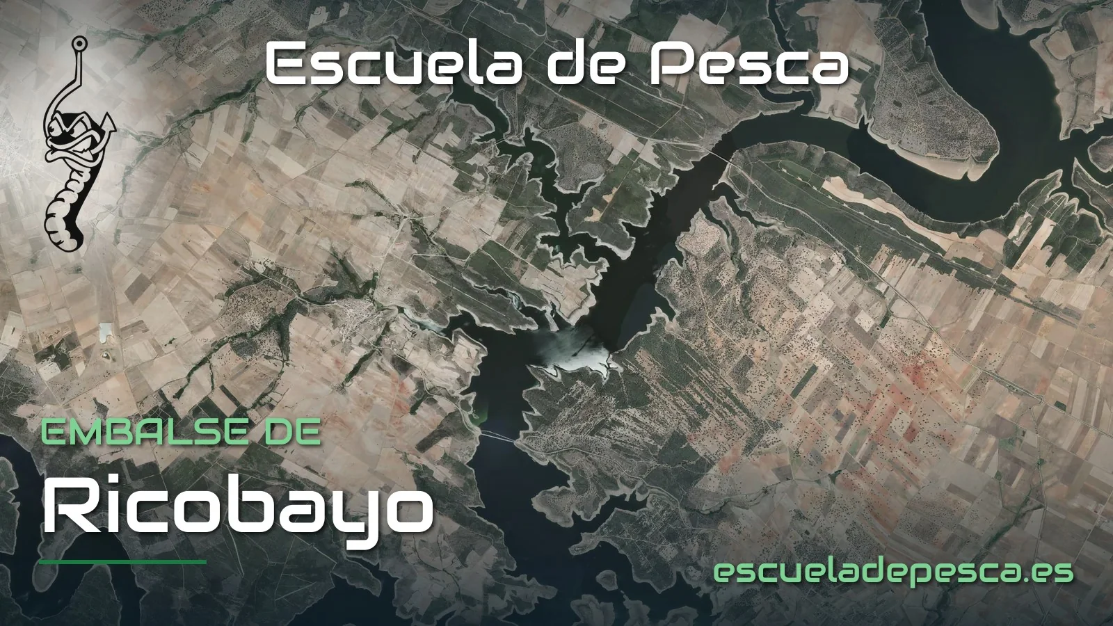 Vista aérea del embalse de Ricobayo