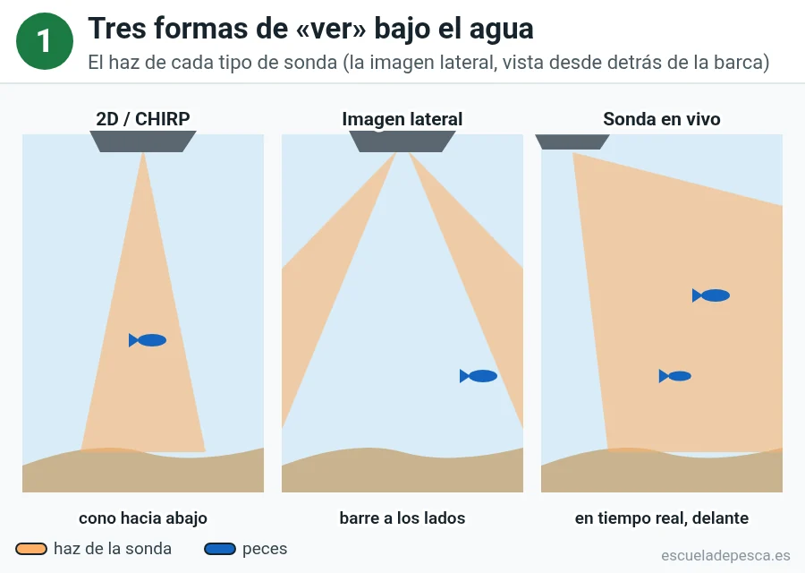 Esquema de los haces de tres tipos de sonda: 2D o CHIRP hacia abajo, imagen lateral a los dos lados y sonda en vivo hacia delante